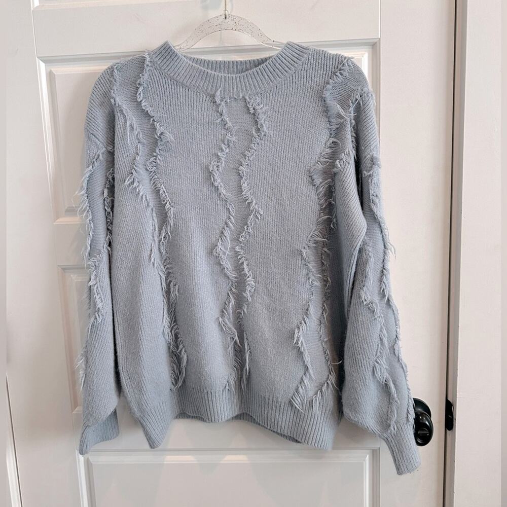 Allison New York Fringe Balloon Sleeve Sweater